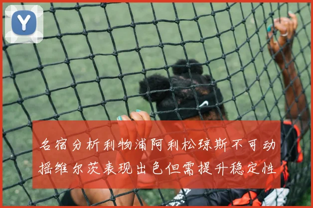 名宿分析利物浦阿利松琼斯不可动摇维尔茨表现出色但需提升稳定性